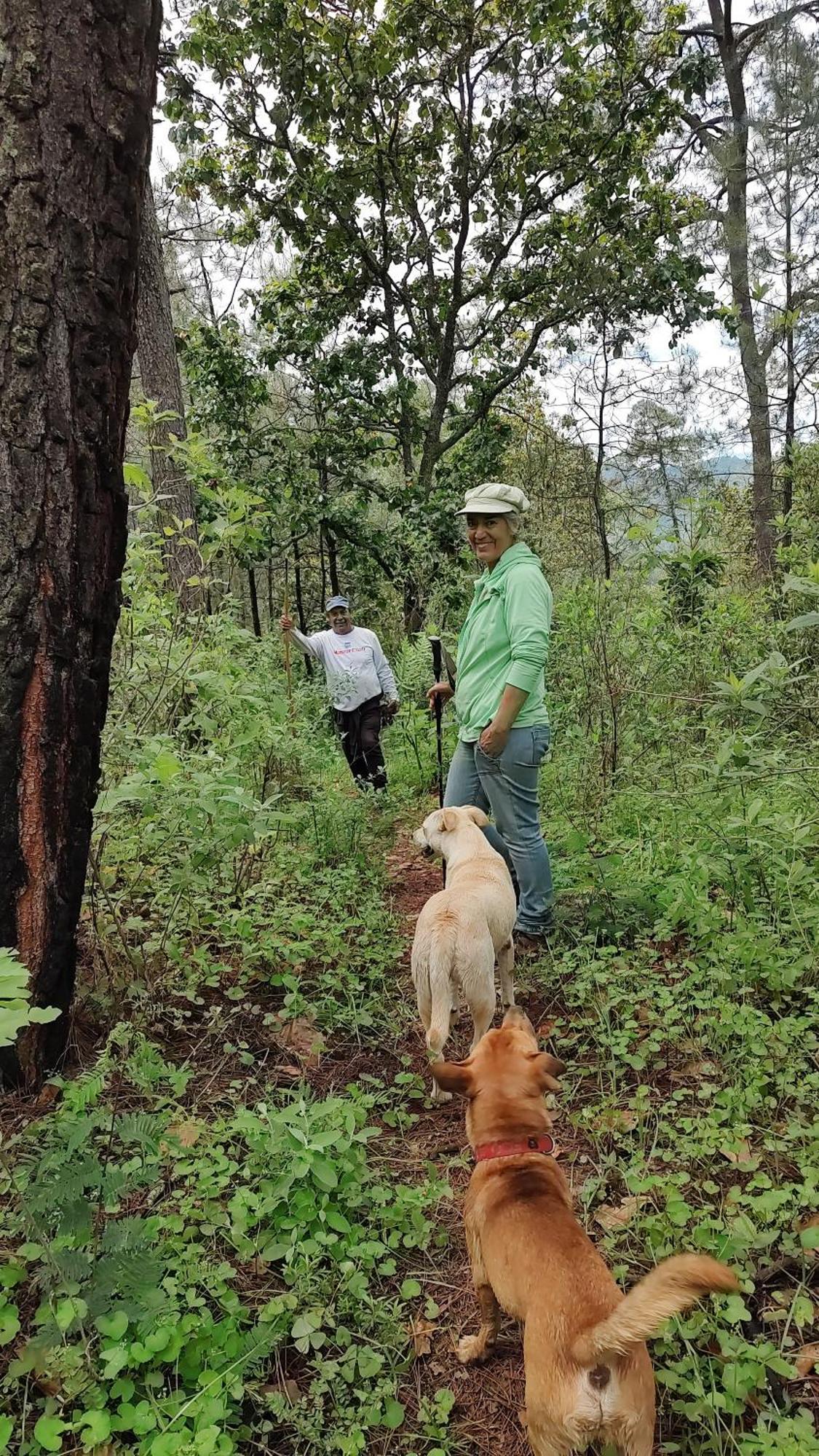 El Encinal De Las Flores Valle de Bravo Dış mekan fotoğraf